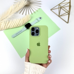 Силіконовий чохол на Айфон 13 Про Макс із закритим низом | iPhone 13 Pro Max Мʼятний (1)