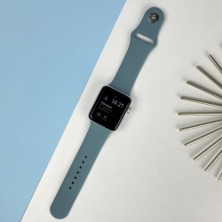 Ремінець Apple Watch Band Silicone One-Piece 42 мм / 44 мм Розмір S/M Pine Green (55)